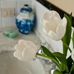 Residenza Dei Pucci فلورنس